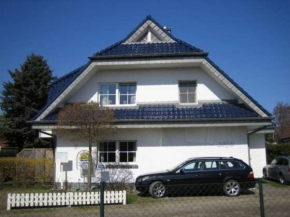 Igel in Zingst